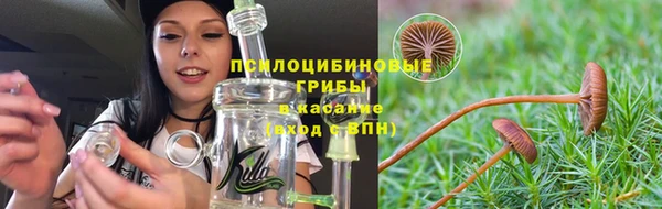 PSILOCYBIN Бородино